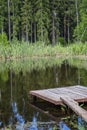 Wooden bridge in a forest lake. Quiet beautiful nature. Vertical