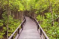 Wooden bridge the forest mangrove at Petchaburi, Thailand Royalty Free Stock Photo