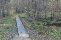 Wooden bridge in the forest and park
