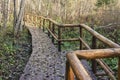 Wooden bridge in the forest and park