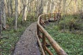 Wooden bridge in the forest and park