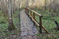 Wooden bridge in the forest and park