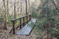 Wooden bridge in the forest and park