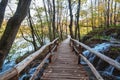 Wooden bridge in the forest, Plitvice lakes National park, Croatia Royalty Free Stock Photo