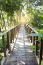 Wooden bridge in the forest with vintage warm light, walking path in tropical forest