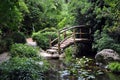 Wooden Bridge in a Garden