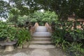 Wooden bridge garden