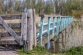 Wooden bridge with a gate and a blue fence over a stream, wild brown grass, Oostvaardersplassen nature reserve, green trees in the