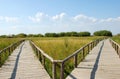 Wooden bridge on grassland Royalty Free Stock Photo