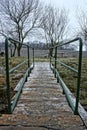 Wooden bridge with green handrail during winter Royalty Free Stock Photo