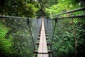 Wooden bridge hanging over tree