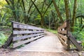 Wooden bridge on a hiking trail in the forests of Santa Cruz mountains, Sanborn County Park, California Royalty Free Stock Photo