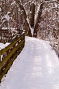 A wooden bridge on a hiking trail on a snowy winter day