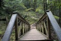 Wooden Bridge, Hocking Hills State Forest