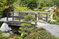 Wooden bridge in Japanese friendship garden Balboa park San Diego Royalty Free Stock Photo