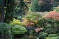 Wooden bridge, Japanese Garden Royalty Free Stock Photo