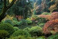 Wooden bridge, Japanese Garden Royalty Free Stock Photo