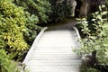 Wooden bridge in Japanese garden Royalty Free Stock Photo