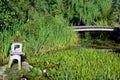 Wooden bridge and Japanese garden lantern on small lush pond. Royalty Free Stock Photo