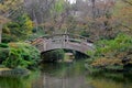 Wooden Bridge at Japanese Garden in Spring Royalty Free Stock Photo