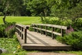 Wooden bridge in japanese garden thru the arc of branches Royalty Free Stock Photo