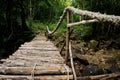 Wooden bridge in jungle Royalty Free Stock Photo