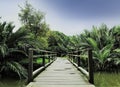 Wooden bridge and jungle or park in Bankok, Thailand.