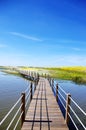 Wooden bridge into the lake of Alqueva