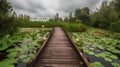 Wooden bridge on the lake with lily pads and flowers. Royalty Free Stock Photo