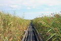 Old wooden bridge