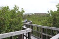 Wooden bridge lead to jungle. Wooden Trails. Boardwalk. A dock over the water at Indian Rocks Beach Nature Preserve in Largo, Flor