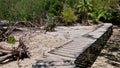 Wooden bridge leading through mangroves on Curieuse island near Praslin, Seychelles.