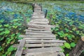 Wooden bridge and lotus