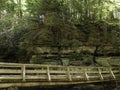 wooden bridge in mullerthal luxembourg