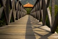 Wooden bridge in mangrove field Royalty Free Stock Photo