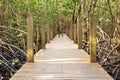 Wooden bridge in mangrove forest, Chanthaburi, Thailand Royalty Free Stock Photo