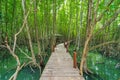 Wooden bridge in a mangrove forest at Tung Prong Thong, Rayong, Thailand