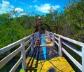 Wooden bridge in mangrove forest in Waibalun, Larantuka.