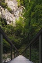 Wooden bridge with a metal wired fence in Alps mountains gorge,Slovenia Royalty Free Stock Photo