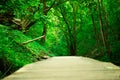 wooden bridge in the middle of the forest Royalty Free Stock Photo