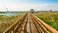 The wooden bridge in the middle of a lotus pond Royalty Free Stock Photo