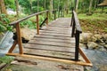 Wooden bridge in natural park