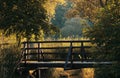 Wooden bridge in nature