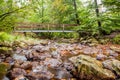 Wooden bridge in nature Royalty Free Stock Photo