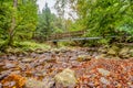 Wooden bridge in nature Royalty Free Stock Photo