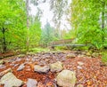 Wooden bridge in nature Royalty Free Stock Photo