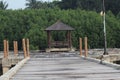 A Wooden Bridge Offering Unforgettable Mangrove Explore