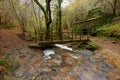 Wooden bridge and an old abandoned stone house next to a river in the area of Galicia, Spain Royalty Free Stock Photo