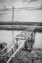 Wooden bridge Royalty Free Stock Photo