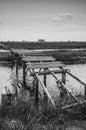 Wooden bridge Royalty Free Stock Photo